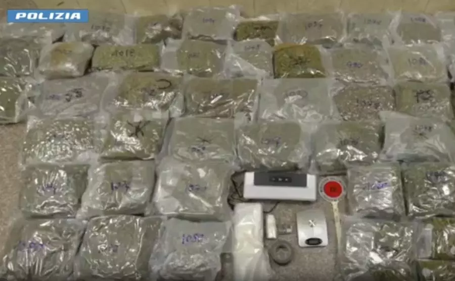 Traffico di droga e riciclaggio, 24 arresti tra Italia e Spagna Traffico di droga e riciclaggio, 24 arresti tra Italia e Spagna