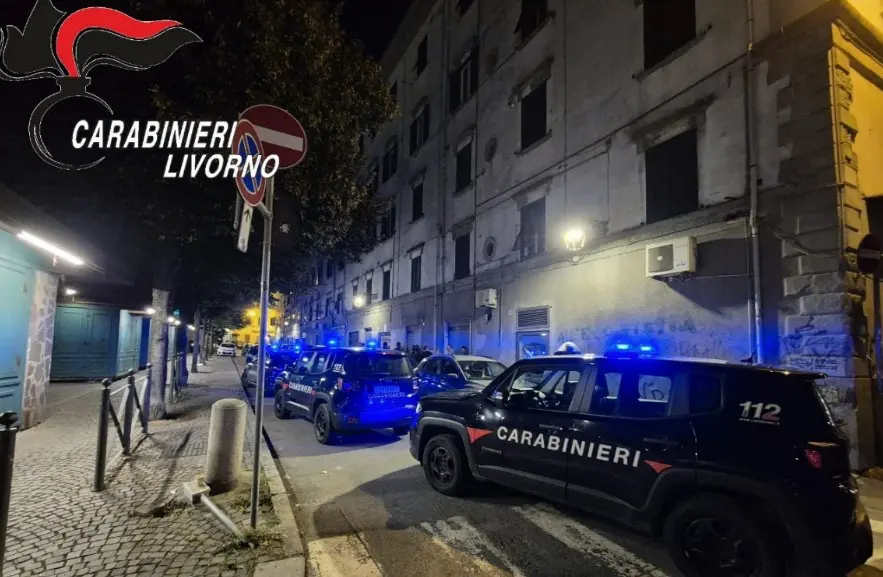 Stroncato traffico di droga, 15 misure cautelari tra Livorno e Pisa Stroncato traffico di droga, 15 misure cautelari tra Livorno e Pisa