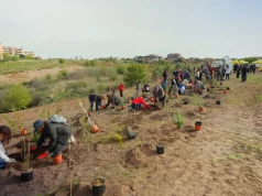 Tim pianta 400 nuovi alberi a Roma per migliorare l’ambiente urbano