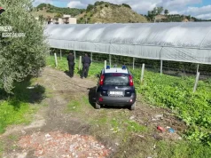 Scoperte nel reggino 35 mila metri quadrati di serre abusive in area protetta