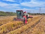 Cina, produzione cerealicola supera 714 mln di tonnellate nel 2025