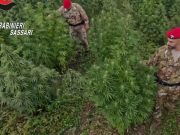 Blitz antidroga in Sardegna, 21 misure cautelari