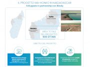 Nasce Neya, società benefit di Mundys focalizzata sulla rimozione del carbonio