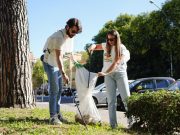 McDonald’s, 4.000 volontari hanno raccolto oltre 10 tonnellate di rifiuti nel 2025