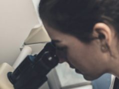 Sanità, ISMETT confermato IRCCS nell’area trapiantologica