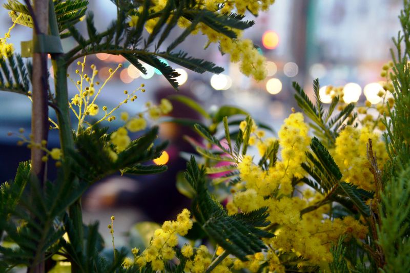 8 marzo, su Tivusat una maratona di musica al femminile da tutto il mondo