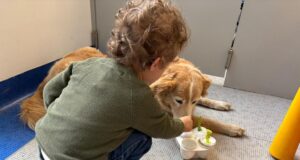 Purina e Frida’s Friends, pet therapy in Neurologia Pediatrica al Fatebenefratelli
