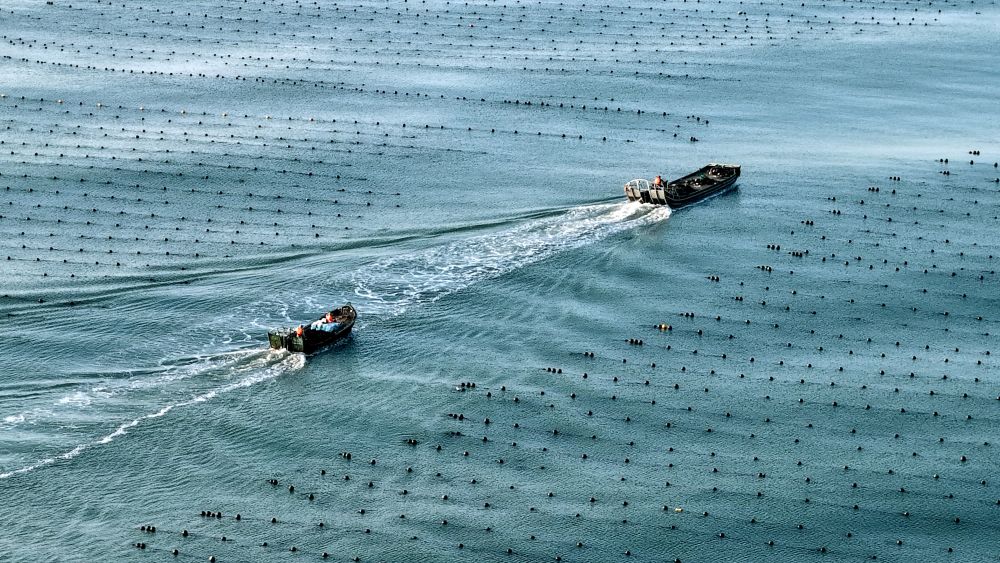 Cina, l’economia marittima segna una crescita costante nel primo semestre