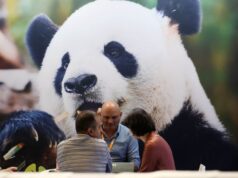Cina, in aumento dell’11,3% i ricavi dell’industria pubblicitaria