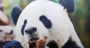 Cina, in aumento dell’11,3% i ricavi dell’industria pubblicitaria