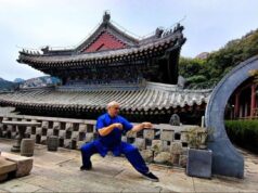Cina-Italia, Angelo D’Aria “Arti marziali strettamente legate a cultura nazionale”