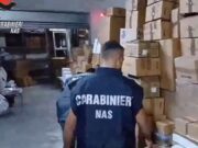 Scoperto Maxi traffico di anabolizzanti, 16 indagati e sequestri